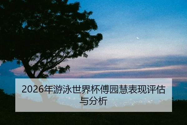 nian-you-yong-shi-jie-bei-fu-yuan-hui-biao-xian-ping-gu-yu-fen-xi-2-244.jpg