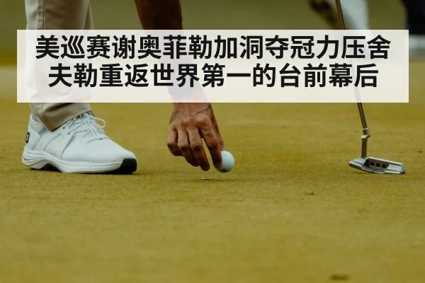 美巡赛谢奥菲勒加洞夺冠力压舍夫勒重返世界第一的台前幕后
